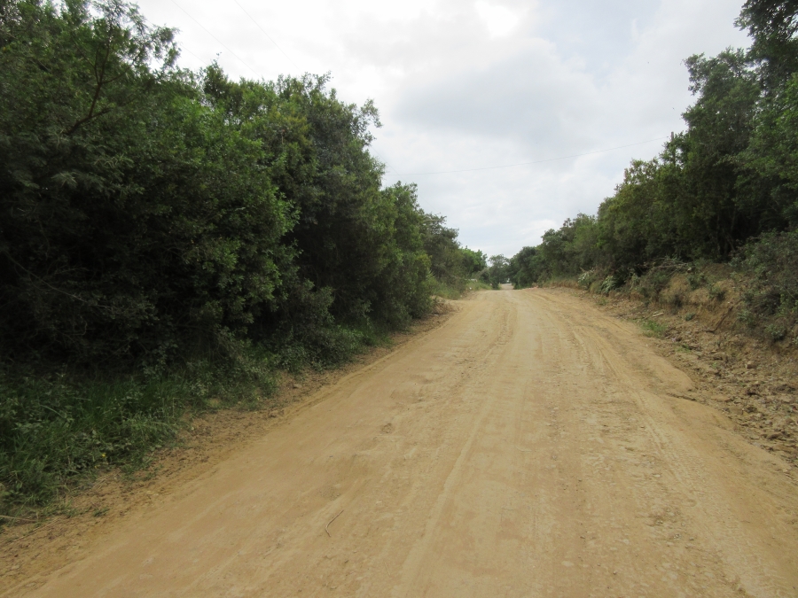 0 Bedroom Property for Sale in Bathurst Eastern Cape